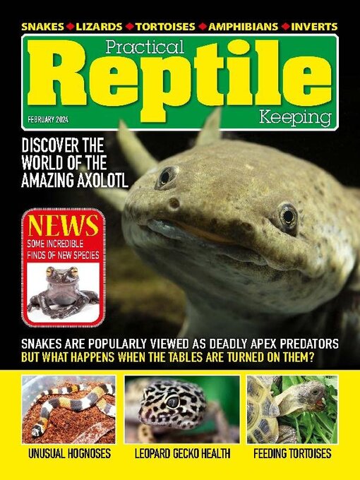 Title details for Practical Reptile Keeping by David Alderton - Available